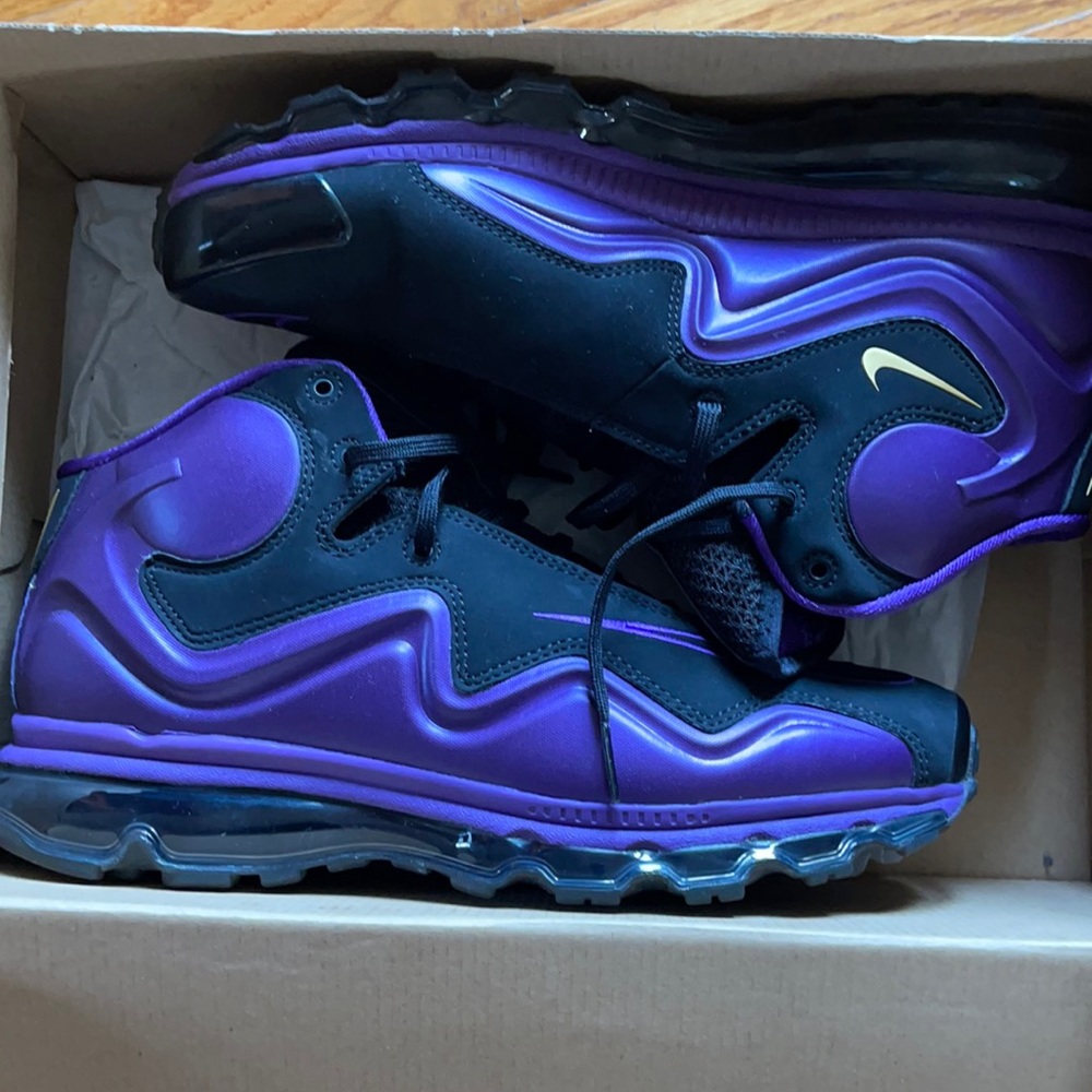 9.5 Air Max Flyposite! Colorway is sick!